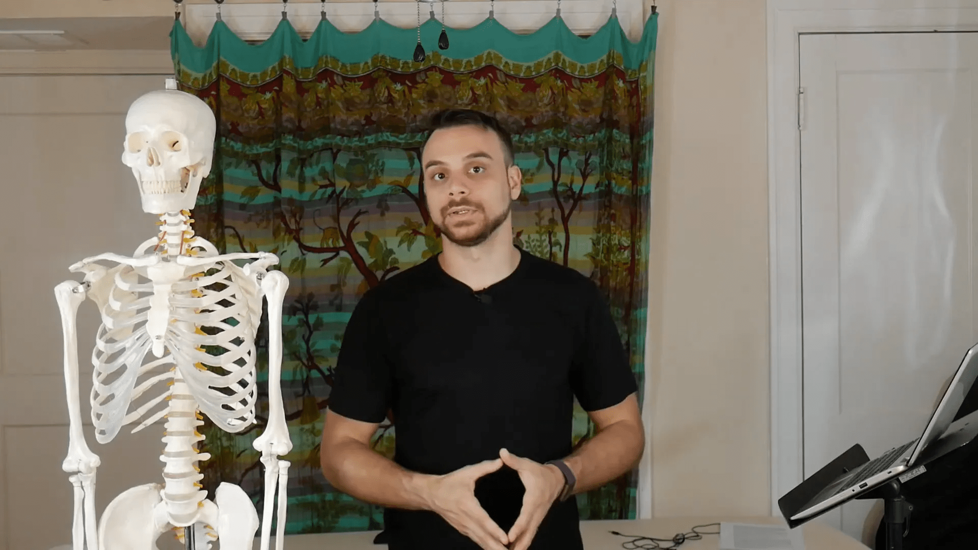 Aktif taşıma süreçleri