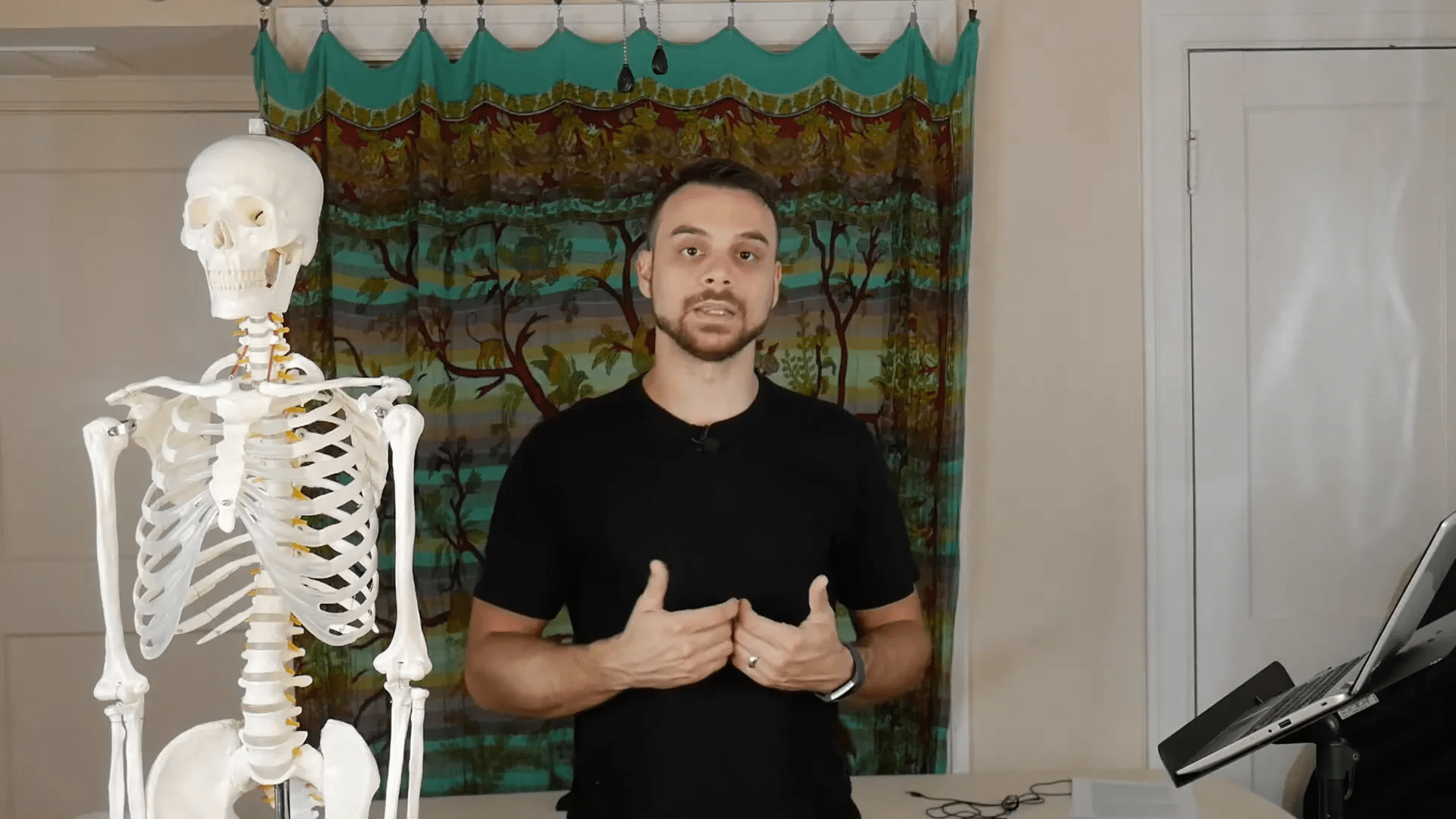 Fizyoloji ile ilgili bir diyagram