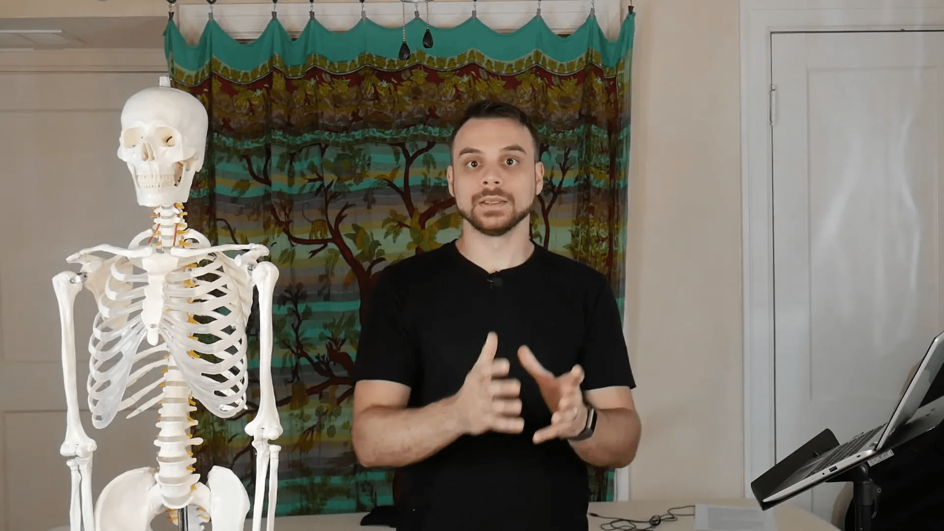 Hücre işlevleri