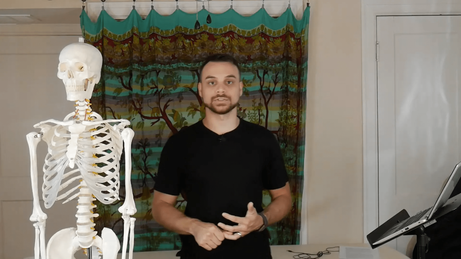 Sinir ve endokrin sistemin şeması